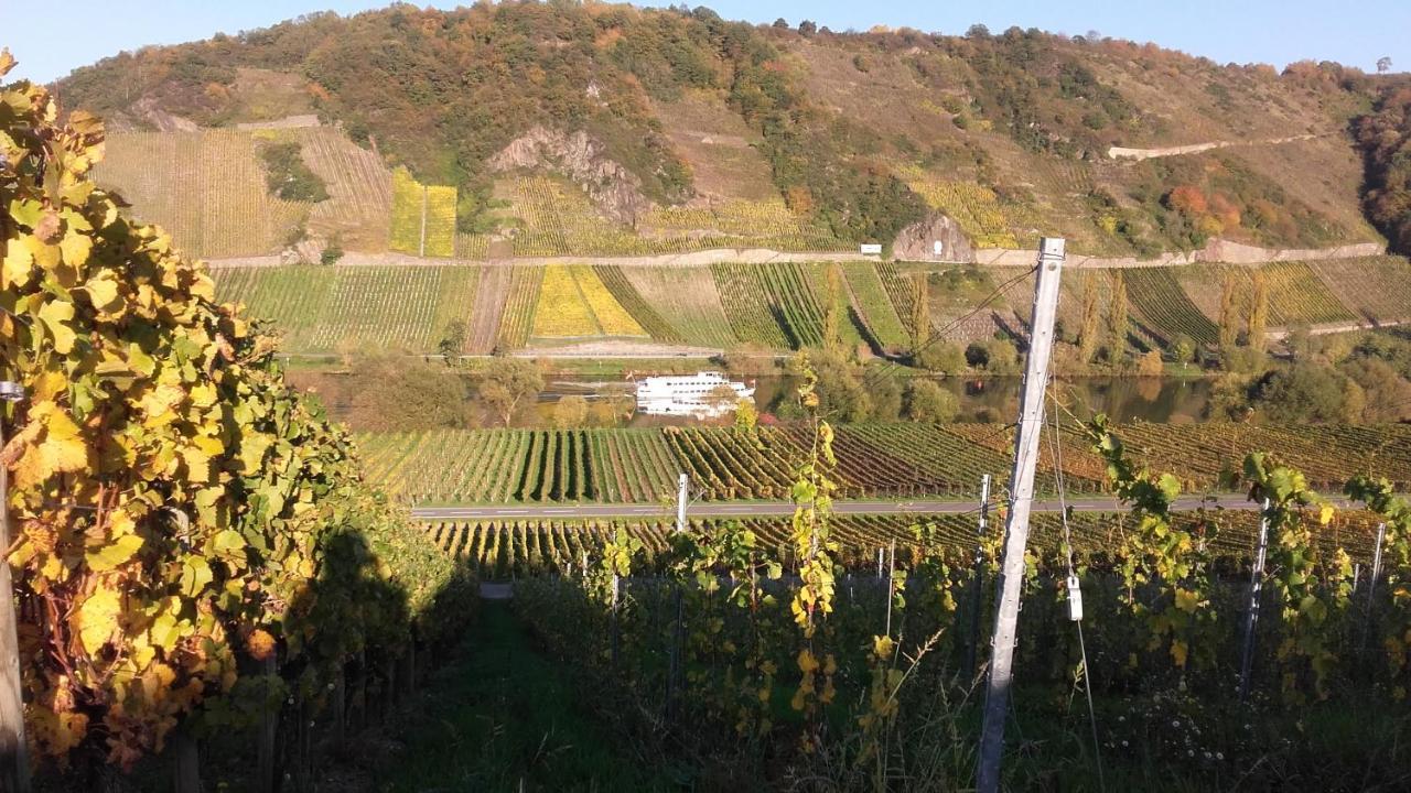 Gaestehaus Moselblick Trittenheim Εξωτερικό φωτογραφία