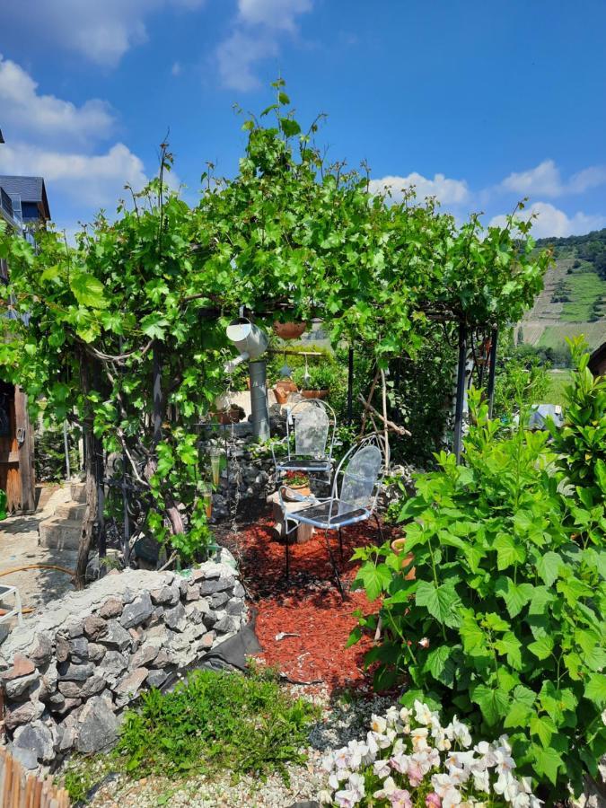 Gaestehaus Moselblick Trittenheim Εξωτερικό φωτογραφία